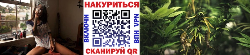  Кокаин Гдов