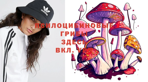 мдпв Белоозёрский